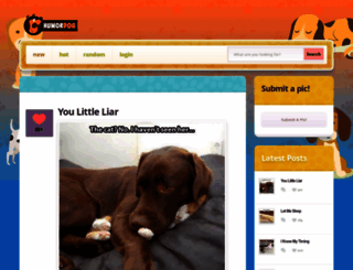humordog.com screenshot