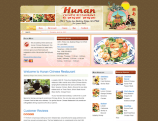 hunannj.com screenshot