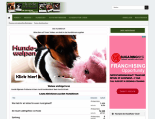 hunde-aktuell.de screenshot