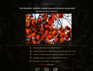 hurma-ua.site screenshot