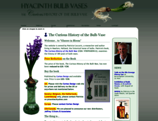hyacinthbulbvases.com screenshot
