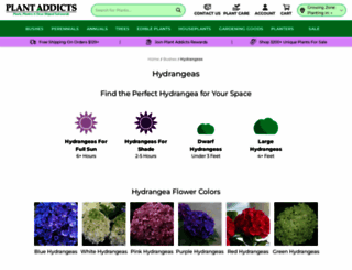 hydrangeashydrangeas.com screenshot
