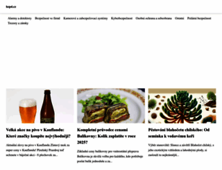 hzpd.cz screenshot