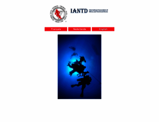 iantdbenelux.com screenshot