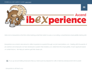 ibexperience.com screenshot