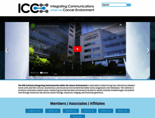 icce-wustl.org screenshot