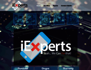 iexpertsrepair.com screenshot