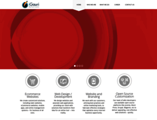 igaurisolutions.com screenshot