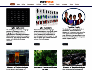 igbofocus.co.uk screenshot