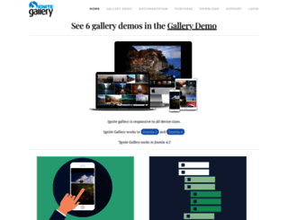 ignitegallery.com screenshot