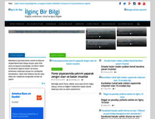 ilgincbirbilgi.com screenshot