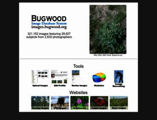 images.bugwood.org screenshot