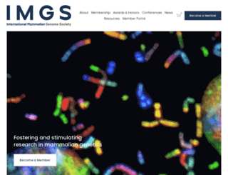 imgs.org screenshot