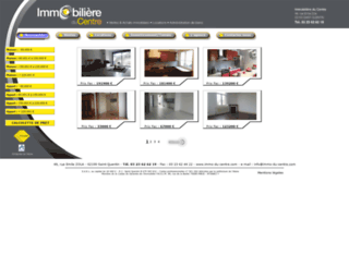 immobiliere-du-centre.com screenshot