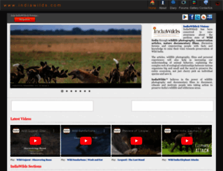 indiawilds.com screenshot