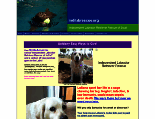 indilabrescue.org screenshot