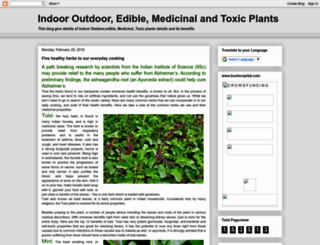 indoorhouseplants.blogspot.ae screenshot