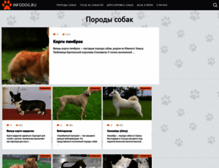 infodog.ru screenshot