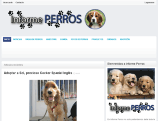 informeperros.com screenshot