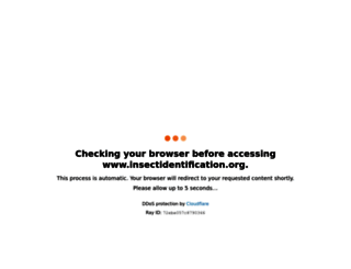 insectidentification.org screenshot