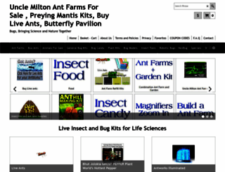 insectkits.com screenshot