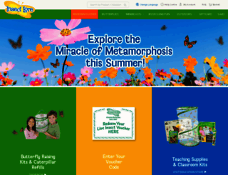 insectlore.co.uk screenshot