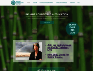 insightcounselingandeducation.com screenshot
