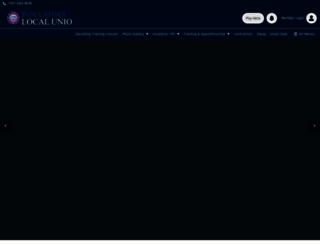 insulators135.com screenshot