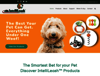 intellileashproducts.com screenshot