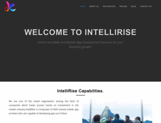 intellirisecorp.com screenshot