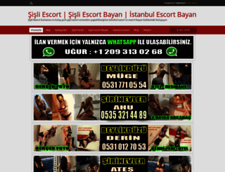 istanbulkopeksatisi.com screenshot