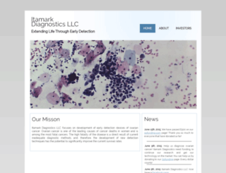 itamarkdiagnostics.com screenshot