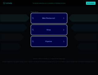 jetsurfny.com screenshot