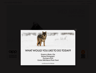 jholko.com screenshot