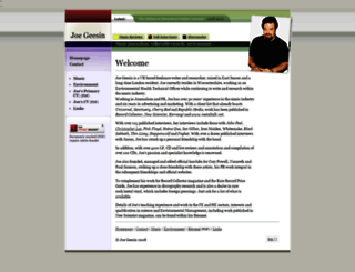 joegeesin.com screenshot