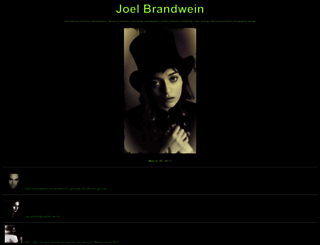 joelbrandwein.com screenshot