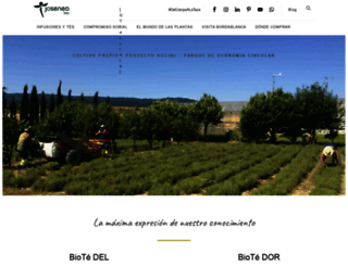 josenea.com screenshot