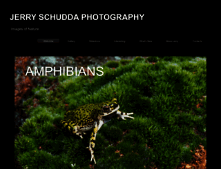 jschuddaphotography.com screenshot