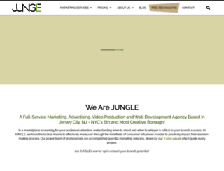 junglecommunications.com screenshot