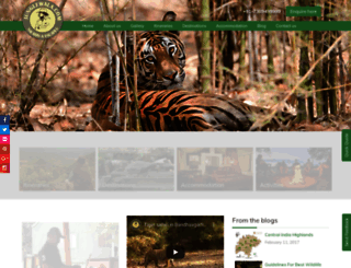 junglewala.com screenshot