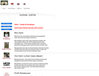 juntak.com screenshot