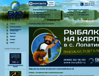 karp63.ru screenshot