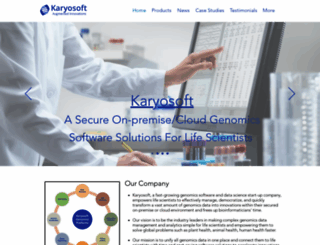 karyosoft.com screenshot
