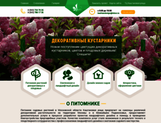 kashtandesign.ru screenshot
