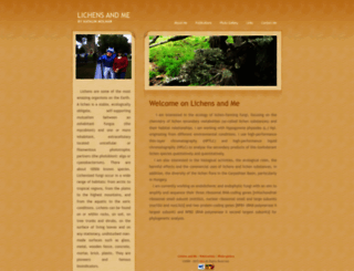 katalinmolnar.com screenshot