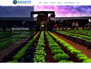 katalystfoodsafety.guru screenshot