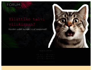 kauppakeskusforum.fi screenshot