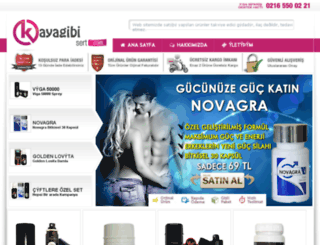 kayagibisert.com screenshot