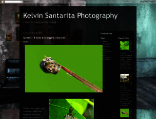 kelvinsantaritaphotography.blogspot.in screenshot