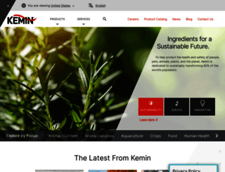 keminet.com screenshot